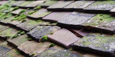 Gunthorpe roof repair costs